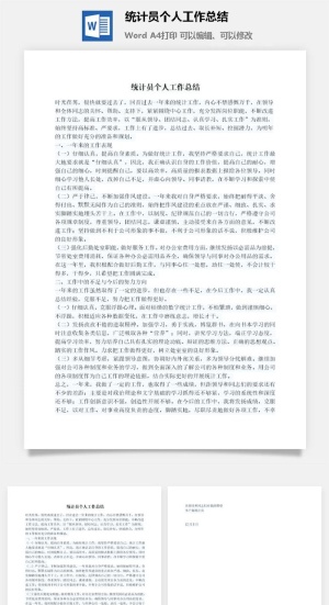 统计员个人工作总结word模板