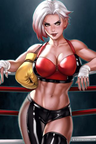 性感美女拳手动漫插画图片