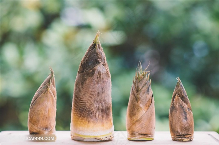 新鲜春笋毛笋竹笋雷笋