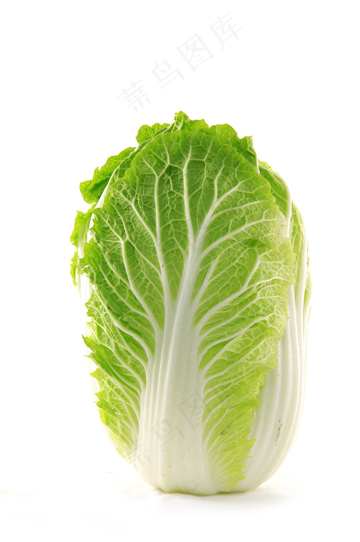 大白菜新鲜蔬菜
