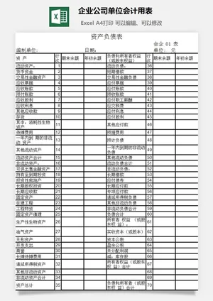 企业公司单位会计用表excel模板预览图