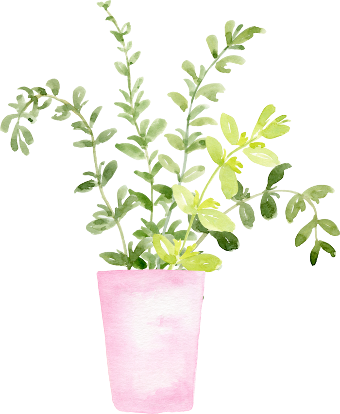 植物免扣植物水彩插画设计素材