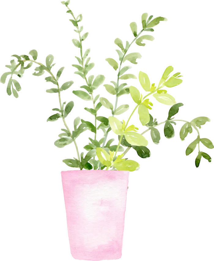 植物免扣植物水彩插画设计素材