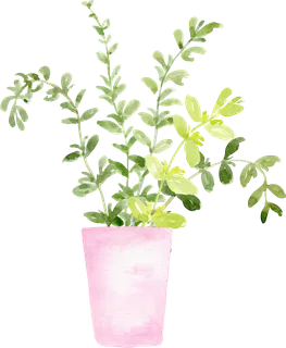 植物免扣植物水彩插画设计素材