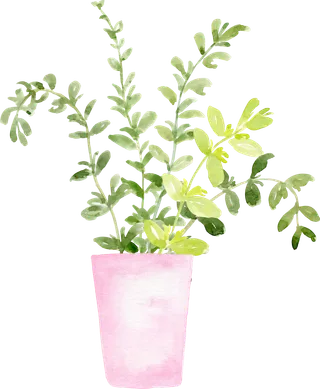 植物免扣植物水彩插画设计素材
