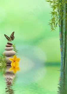 唯美鹅暖石竹子景色高清大图 唯美鹅暖石竹子景色高清大图