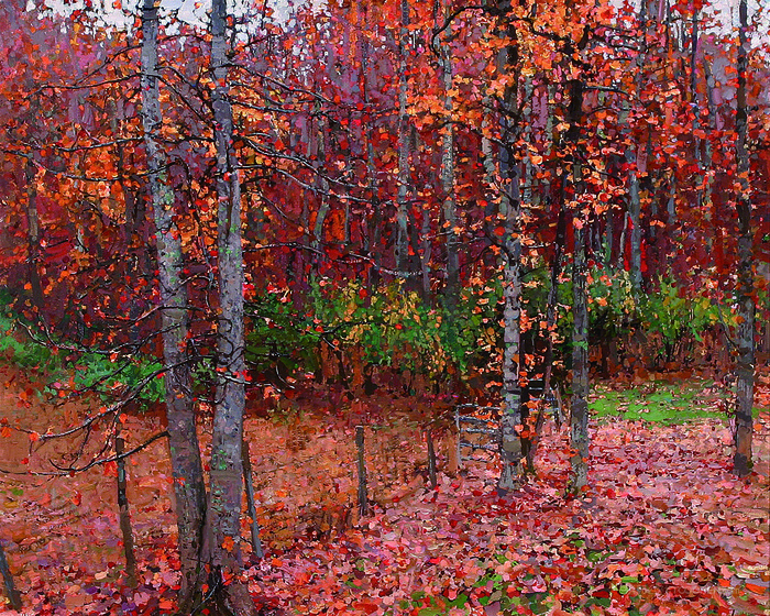 树林落叶唯美插画