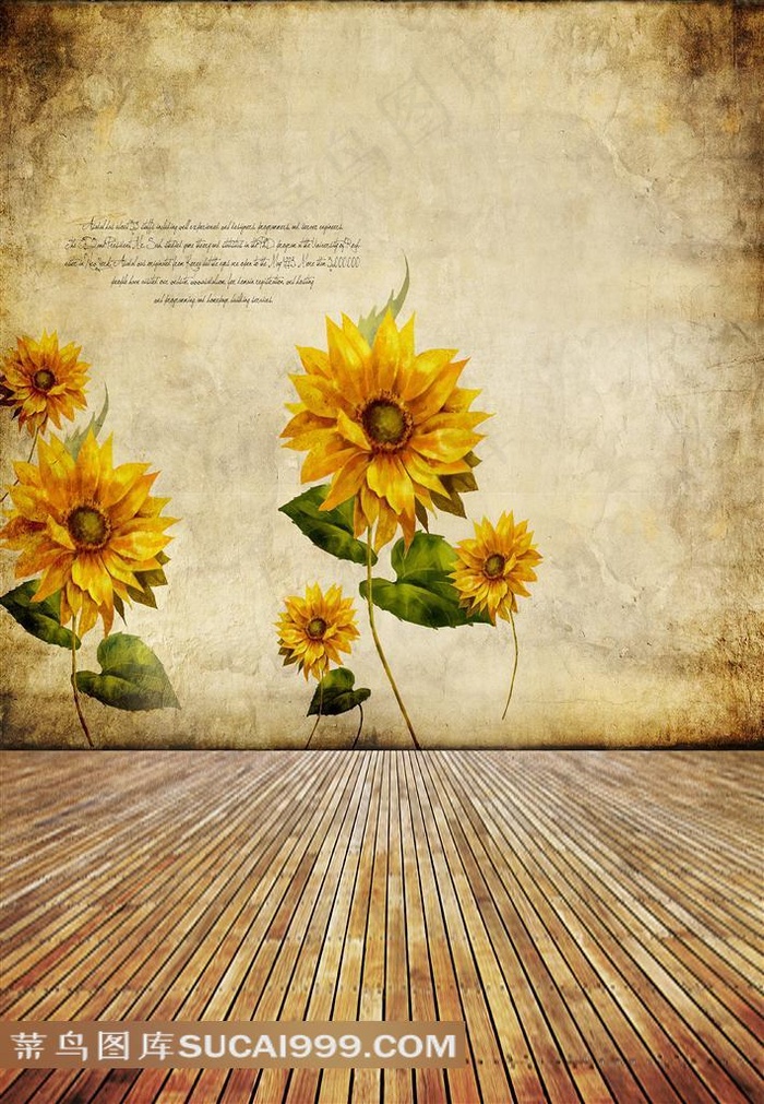 向日葵摄影背景图片