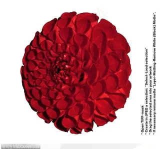 情人节花物语-圆球形花朵