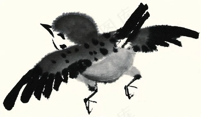 画鸟文化艺术素材