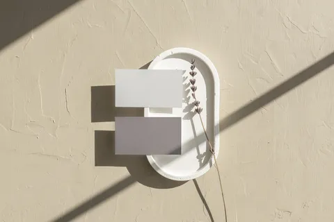 文艺光影正反面名片样机