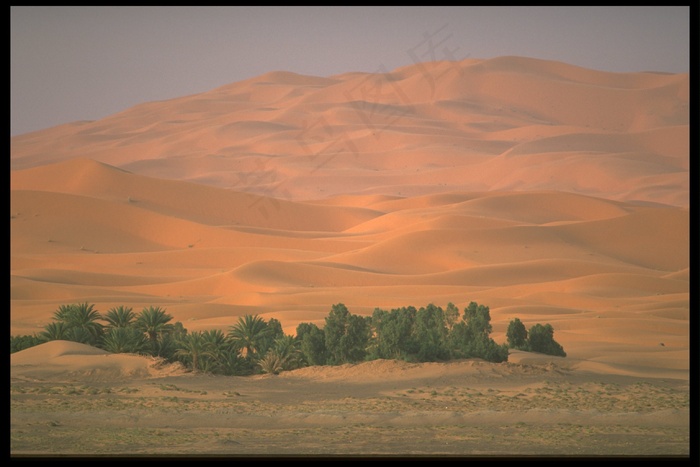 沙漠风光 19