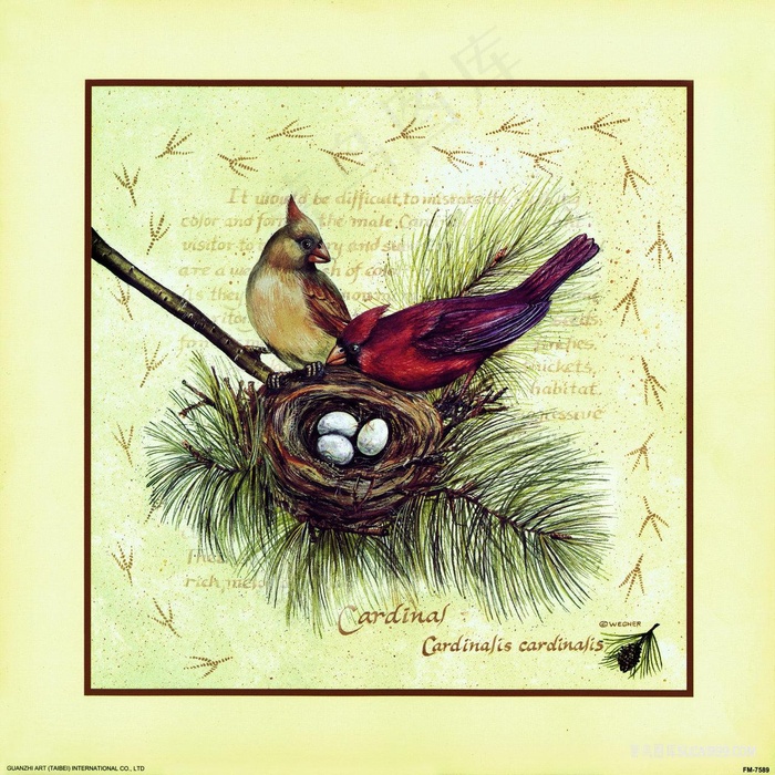 树枝鸟窝鸟插画