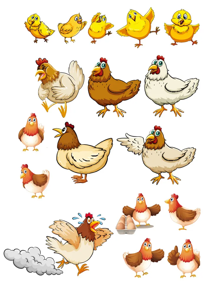 母鸡下蛋带小鸡插图元素合集psd模版下载