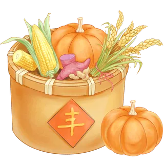 谷物粮食组合丰收南瓜玉米水稻