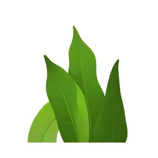 叶子草丛绿叶免抠