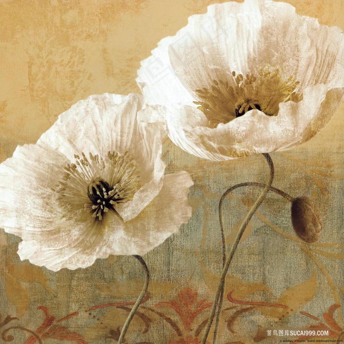 静物复古花卉时尚插画