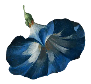 复古油画质感宫廷花卉植物花朵鲜花拼贴图案PNG免抠图片设计素材