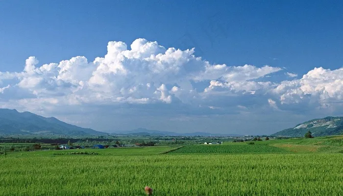 天空下山脉间的绿色麦田