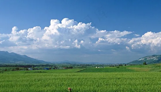天空下山脉间的绿色麦田 天空下山脉间的绿色麦田