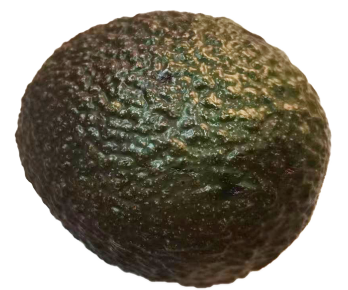 圆润小果牛油果鲜果鳄梨免抠实物实拍摄影元素素材