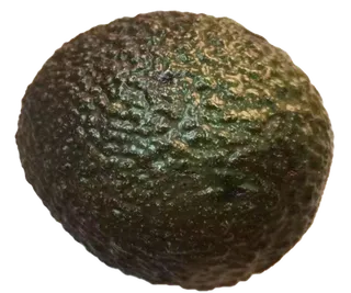 圆润小果牛油果鲜果鳄梨免抠实物实拍摄影元素素材