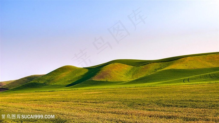 绿草地风景画壁纸