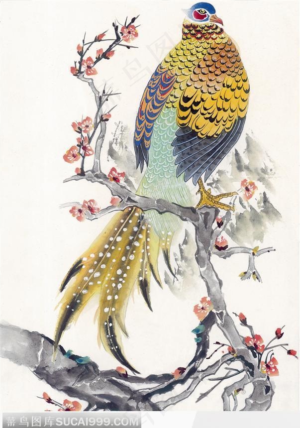 工笔画—斑鸠
