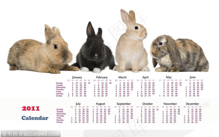 2011年兔年月历－－四只不同色彩的兔子