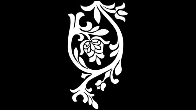 花, 花的, 葡萄藤, 轮廓, 动画片, 白色的, 艺术