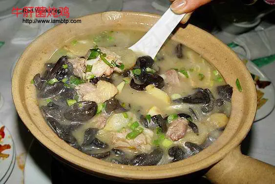 牛肝菌炖鸡美食元素菜品psd模版下载
