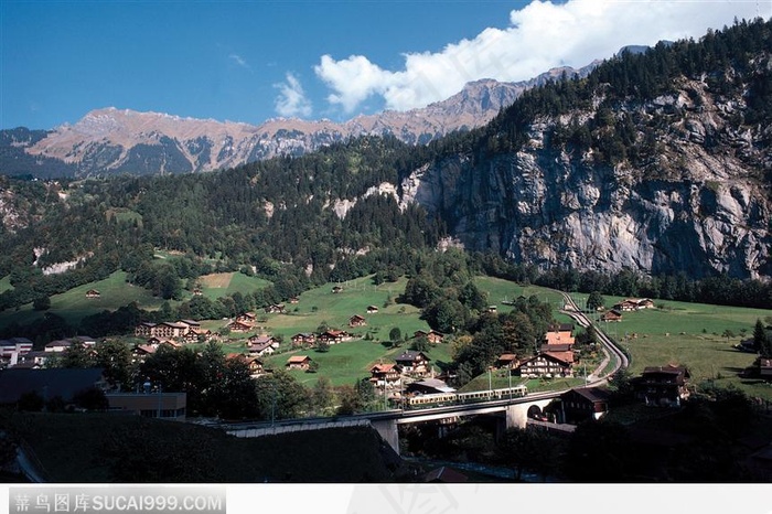 山上的树木和上下的房屋