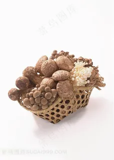 蘑菇金针菇高清素材 蘑菇金针菇高清素材