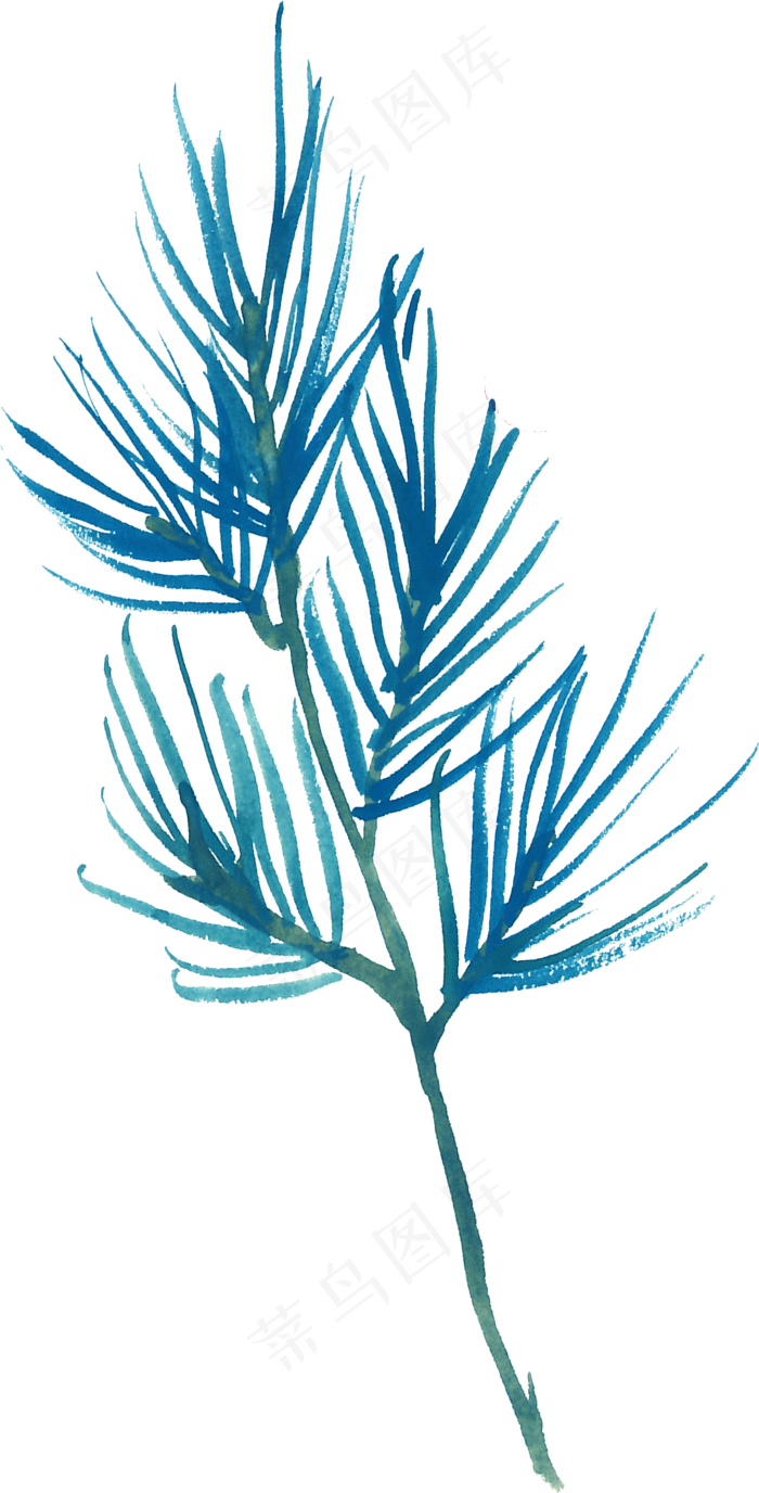 冬季圣诞节花卉果花圈植物免抠海报PNG素材