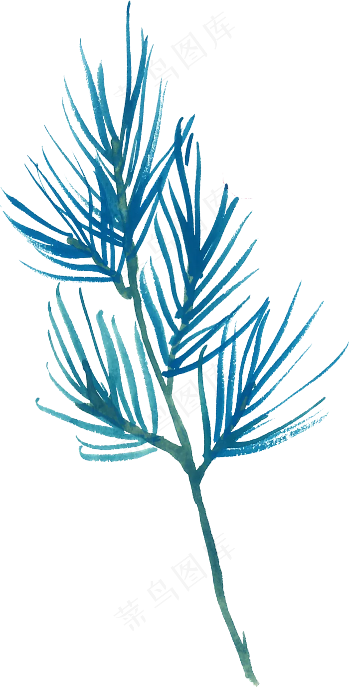 冬季圣诞节花卉果花圈植物免抠海报PNG素材