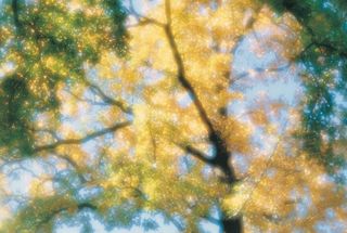 图片设计素材背景2.14情人节