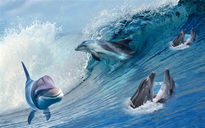 多美居3D海洋