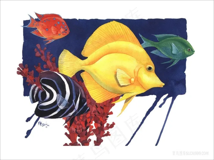 水彩鱼高清插画