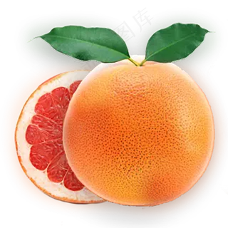 橙子免抠素材 (11)