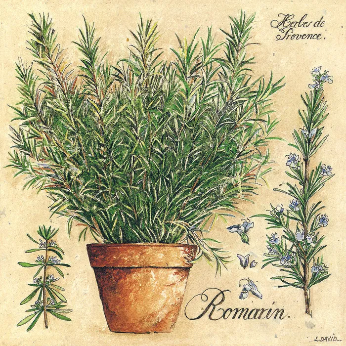 绿树植物盆栽油画