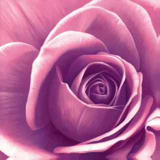 紫色花卉花朵 紫色花卉花朵