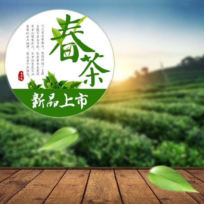 春茶节新茶上市茶叶电商主图banner海报pc端移动端首页模板