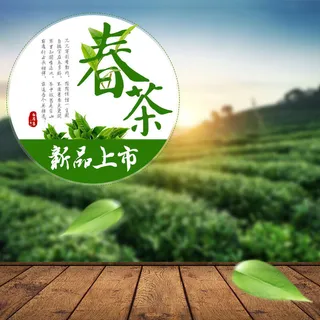 春茶节新茶上市茶叶电商主图banner海报pc端移动端首页模板