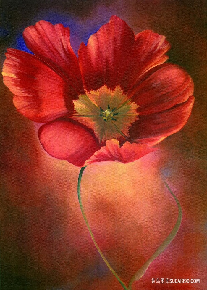 唯美红色花卉装饰画