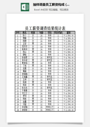 抽样调查员工薪资构成excel模板