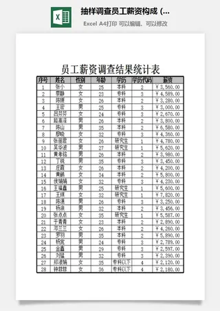抽样调查员工薪资构成excel模板