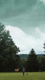 天空白云下的草坪放风筝，简约踏青春天摄影图