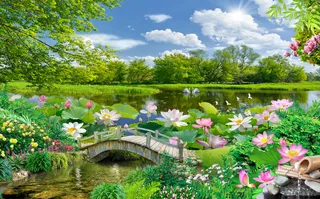 蓝天白云荷花木桥天鹅风景