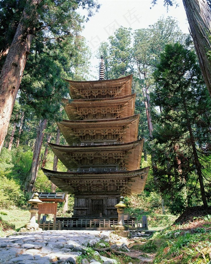 松树林内的木塔