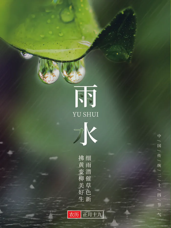 创意24节日二十四节气雨水春节春天宣传祝福海报模板PSD设计素材psd模版下载
